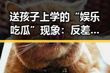 送孩子上学的“娱乐吃瓜”现象:反差背后的心理与责任