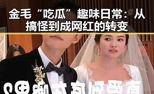 金毛“吃瓜”趣味日常:从搞怪到成网红的转变