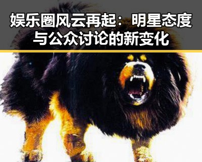 娱乐圈风云再起:明星态度与公众讨论的新变化